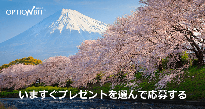 オプションビット