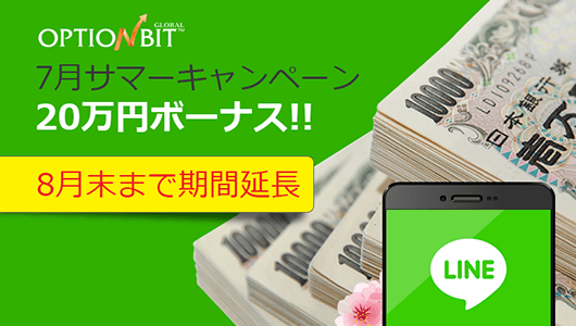 オプションビット