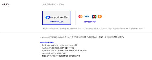 theoption(ザオプション)